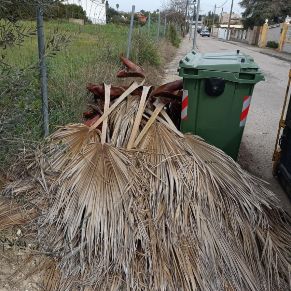 481002119_1055290746628571_8096007101623342916_n