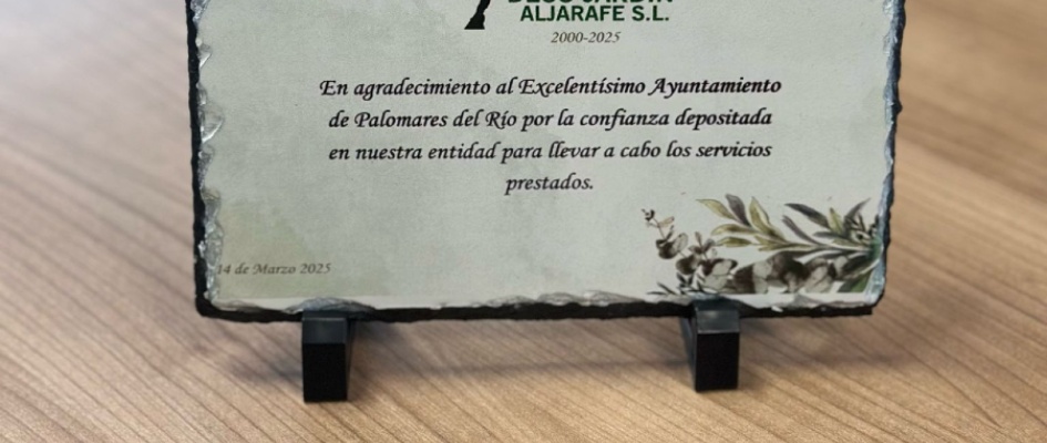 484811981_1072385308252448_5847310397850331110_n