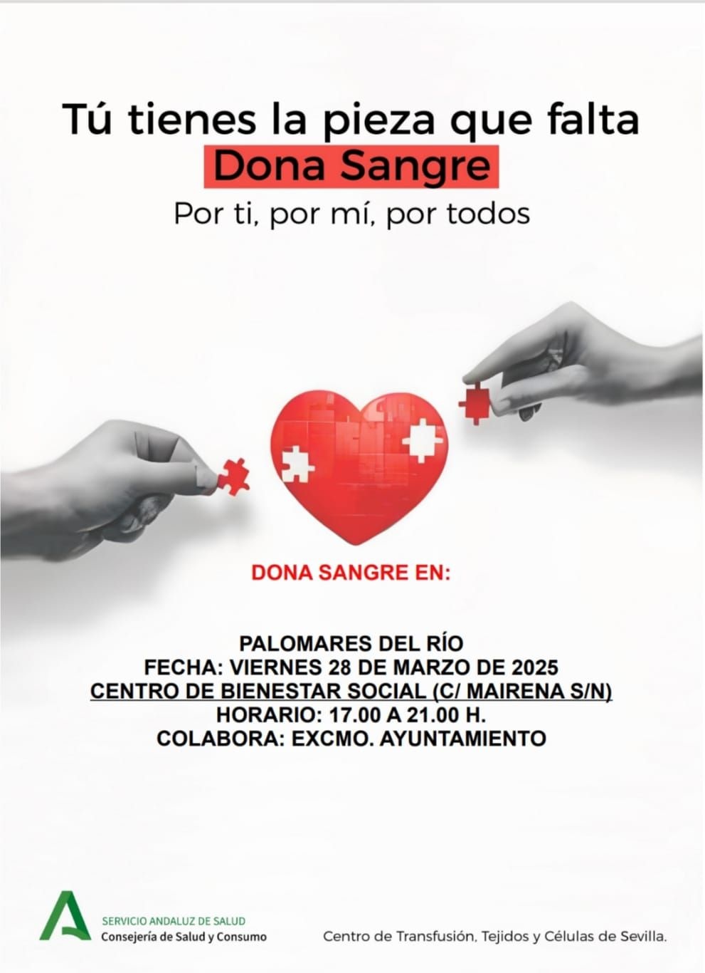 487067300_1080351884122457_5789888683764087120_n