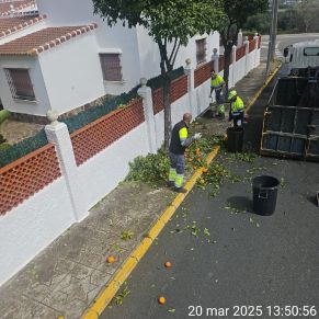 488313729_1085810910243221_7138394544614939017_n