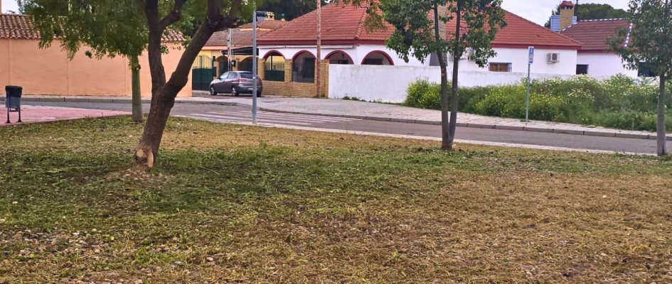 488505277_1087834536707525_6334008354138407199_n