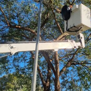 488532857_1085810946909884_535566419286031527_n