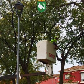 489032674_1087834606707518_5508733639253605534_n