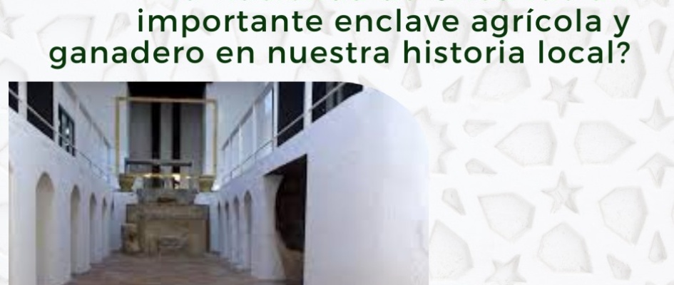 492060445_1103520105138968_833805838473116476_n