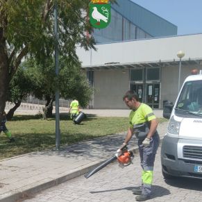 492779032_1106098361547809_2051263763029009694_n