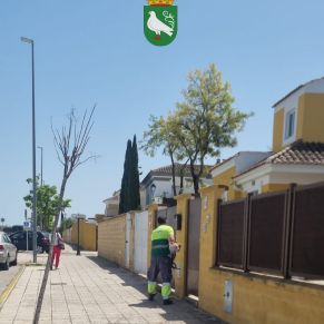 493192518_1106098324881146_5973543743544942664_n