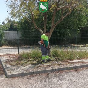 493315520_1106098224881156_184948681520624789_n