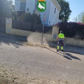 493948316_1106098364881142_3273872500939188779_n