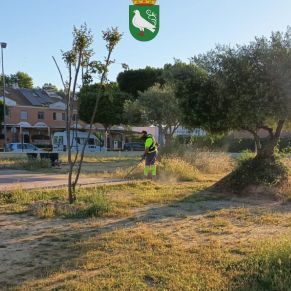 494468905_1109975194493459_1027647583572511712_n