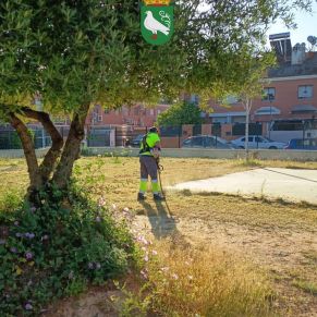 494474563_1109975197826792_3117410674410470890_n