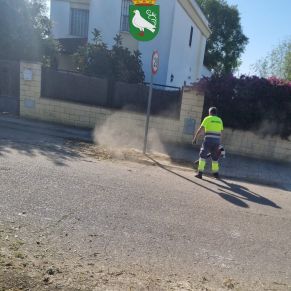 494484064_1109975024493476_1481875507104148874_n