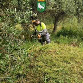 495090771_1114218867402425_70424182908748368_n