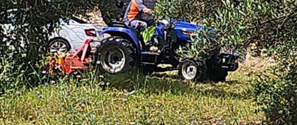 495149005_1114218860735759_4536582641044697020_n