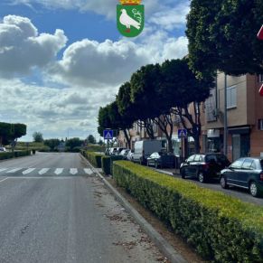 495345708_1114218840735761_8011556532374481773_n