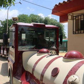 499709089_1128122949345350_8331896237591592283_n