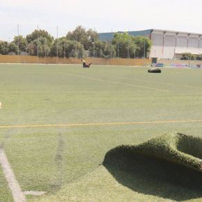 500246804_1130642929093352_3152959474482803951_n