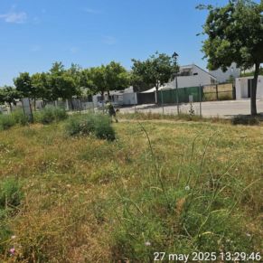 500315768_1131023665721945_6887589278064914026_n