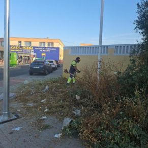 500774337_1131023672388611_983109288779133306_n