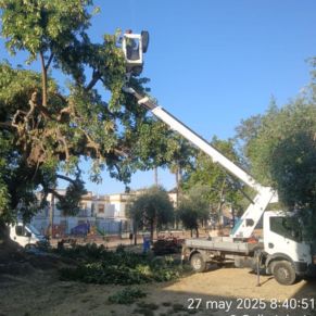 500843786_1131023659055279_6302359582202783267_n