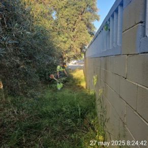 501090333_1131023682388610_4065508976853568638_n