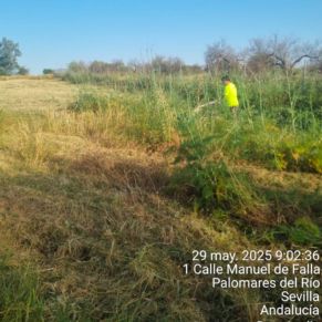 501535844_1132420625582249_8104910026260949189_n