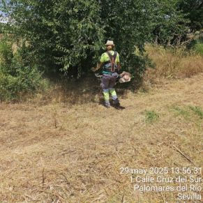 502533057_1132420708915574_4044036293203978930_n