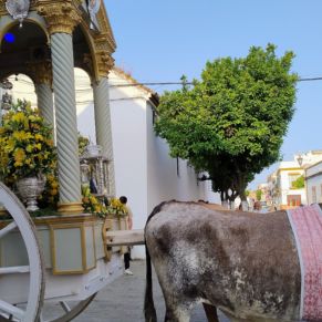 503167359_1137042158453429_3507603117984966416_n