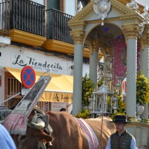 503652037_1137040071786971_5974532929487036649_n