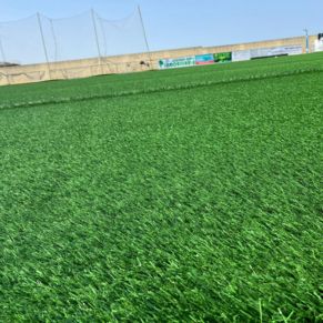 504000263_1137817841709194_7368558285148427824_n