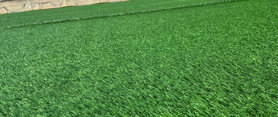 504000263_1137817841709194_7368558285148427824_n