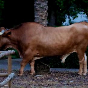 509095595_1150844780406500_3114291384119185362_n