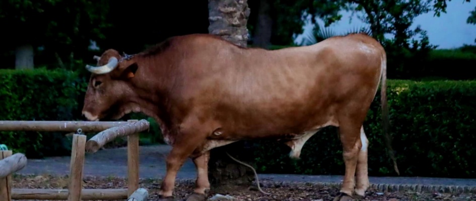 509095595_1150844780406500_3114291384119185362_n