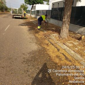 510975862_1153409763483335_9153884141257082028_n