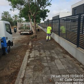 511006254_1153409583483353_4141071344010798357_n