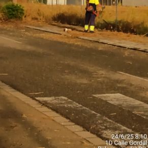 511751140_1153409706816674_6939697028820343413_n