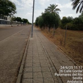 512667565_1153409803483331_8947616237864971187_n