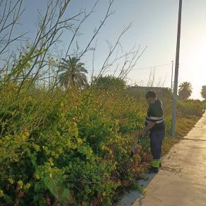 514339012_1160199789470999_3080898014420804281_n