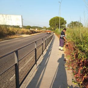 514340110_1160199896137655_4806160170494179134_n