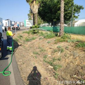 514520561_1159952392829072_6488192634921592319_n