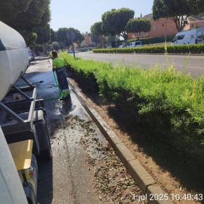 515184669_1159952796162365_8427060658161008801_n