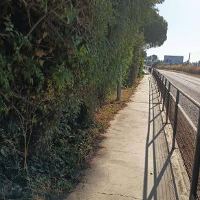 515493223_1160200002804311_3755052759145454503_n