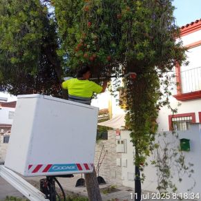 517394280_1167800025377642_1262970748659415411_n