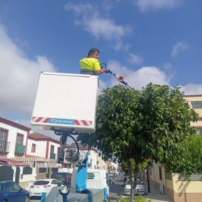 518016171_1167800068710971_3962759864119893115_n