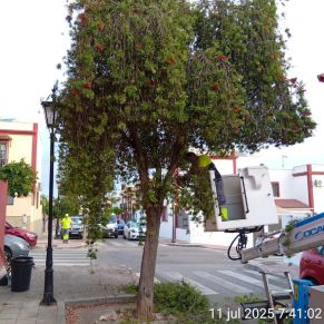 518255392_1167799972044314_4619505971876197890_n