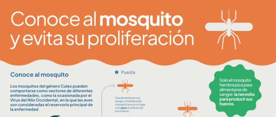 518726873_1173572968133681_9061316429934921903_n_