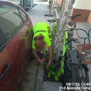 519418543_1175901191234192_4904169996625757914_n