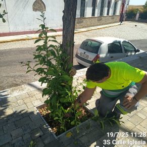 519739883_1175901224567522_3321839876493646998_n