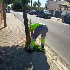 520972506_1175900947900883_7321874101330648342_n