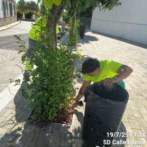 521667326_1175901027900875_27722074128287332_n