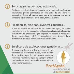 530440999_1193861086104869_3625279669095312654_n